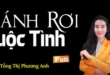 Đánh Rơi Cuộc Tình