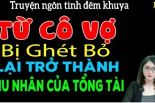 Từ cô vợ bị ghét bỏ lại trở thành phu nhân của tổng tài