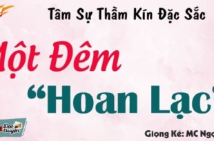 MỘT ĐÊM HOAN LẠC